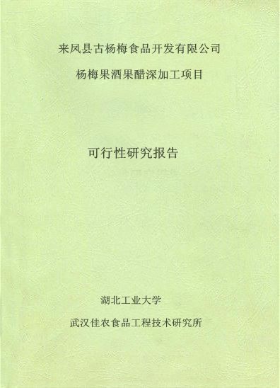 可行性报告——杨梅果酒果醋深加工项目